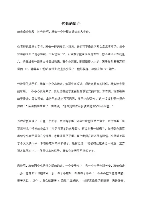 代数的简介