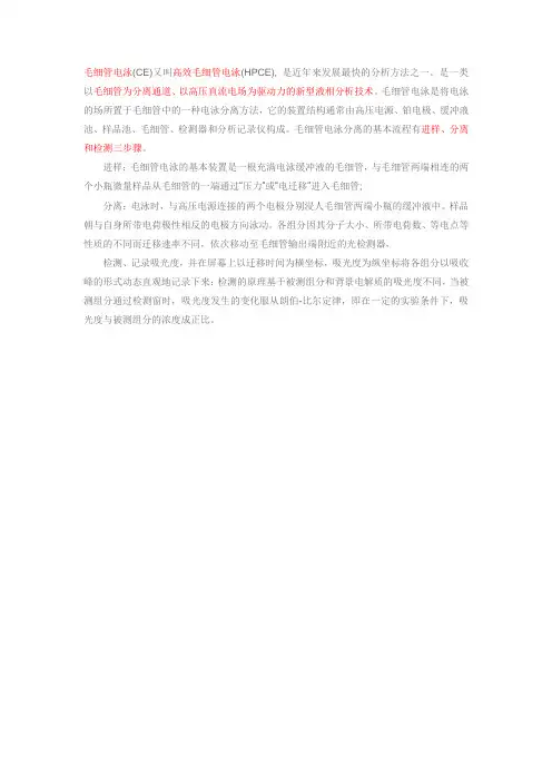 毛细管电泳