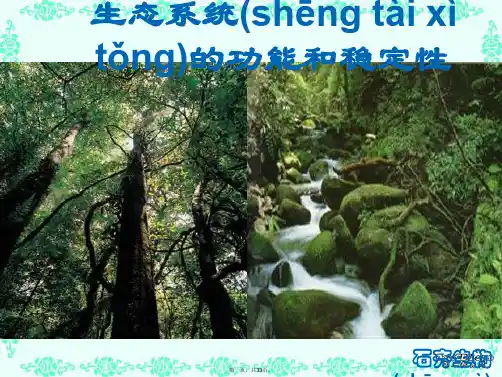 高考生物生态系统的功能和稳定性课件 人教版