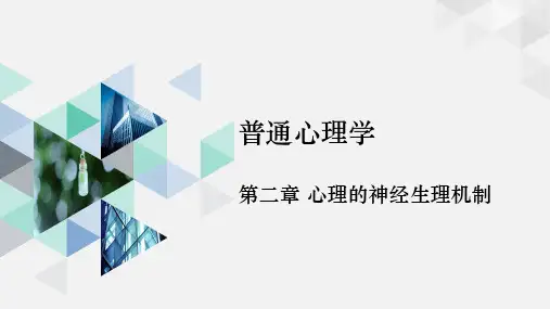 普通心理学 彭聃龄第四版 