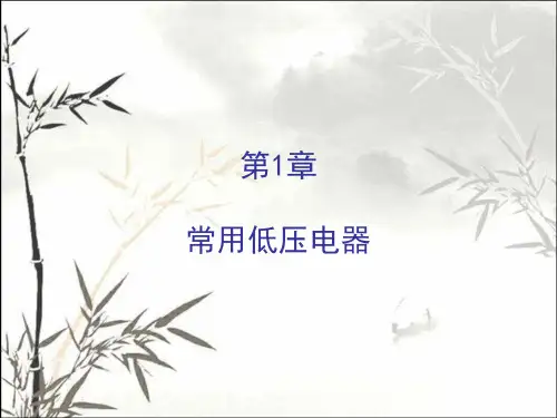常用低压电器 PPT课件