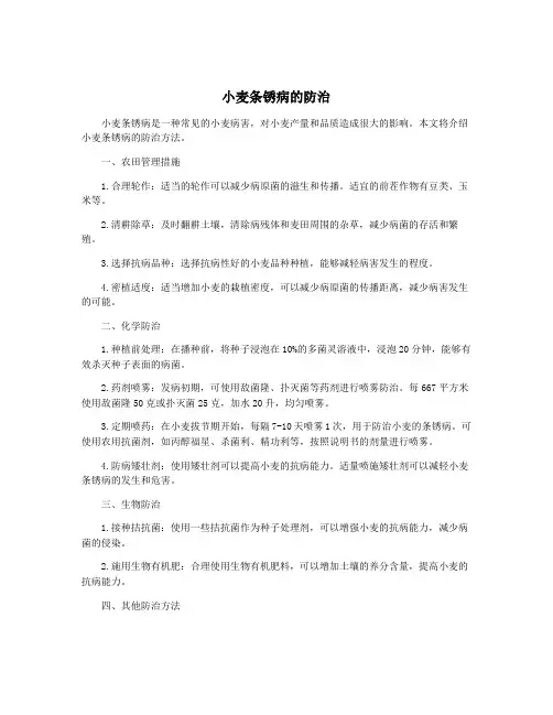 小麦条锈病的防治