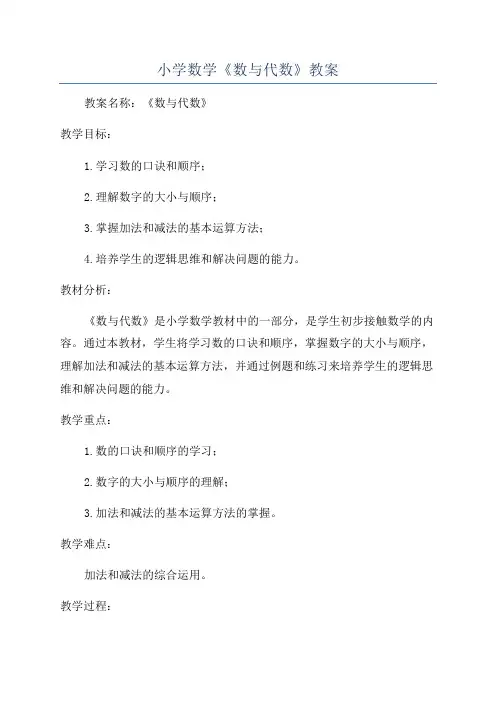 小学数学《数与代数》教案