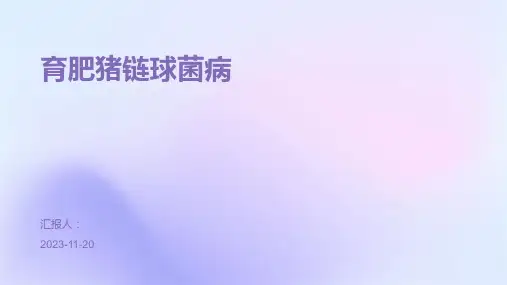 育肥猪链球菌病