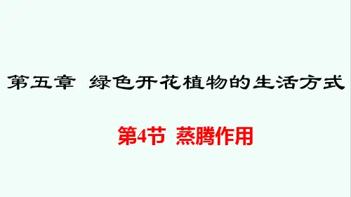 《蒸腾作用》PPT课件 北师大版