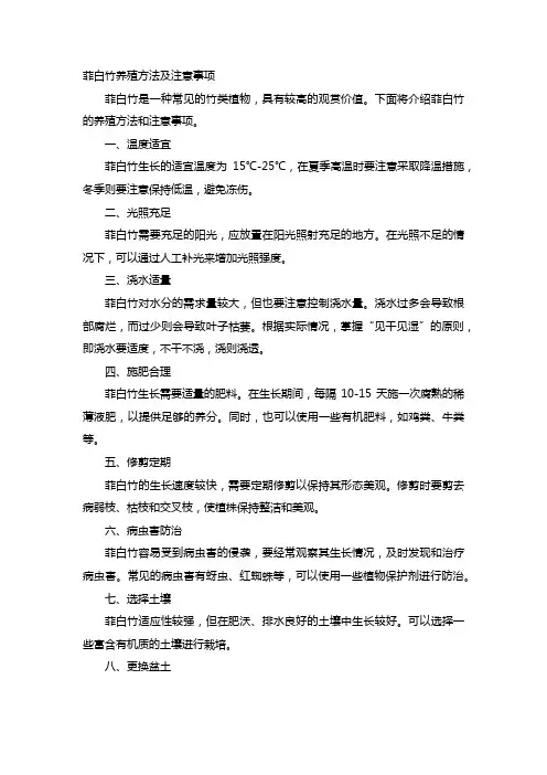 菲白竹的养殖方法和注意事项