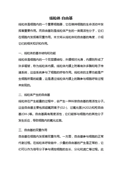 线粒体 自由基