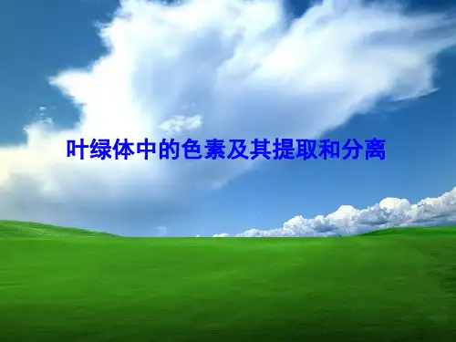3.3.1 叶绿体中的色素及其提取和分离