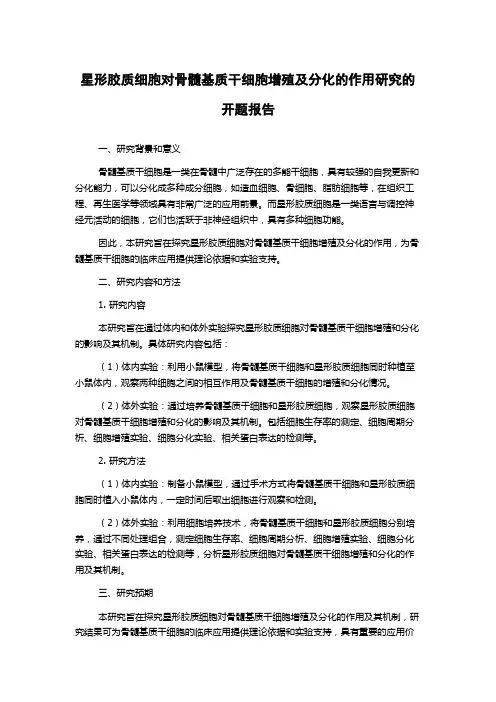 星形胶质细胞对骨髓基质干细胞增殖及分化的作用研究的开题报告