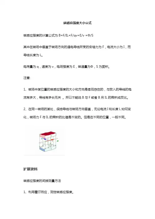 磁感应强度大小公式