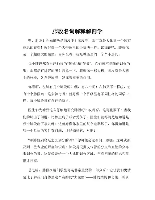 肺段名词解释解剖学
