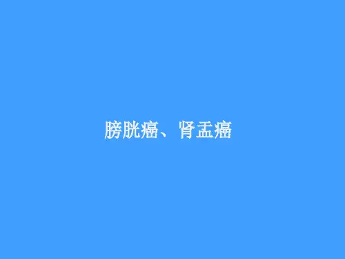 膀胱癌、肾盂癌影像诊断
