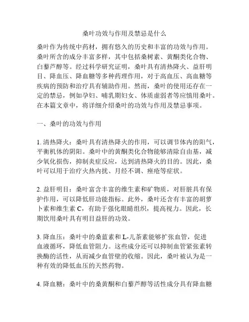 桑叶功效与作用及禁忌是什么