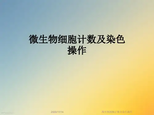 微生物细胞计数及染色操作