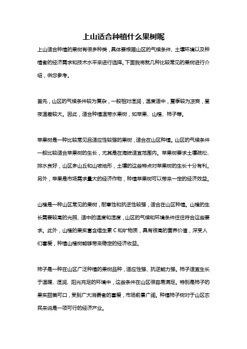 上山适合种植什么果树呢