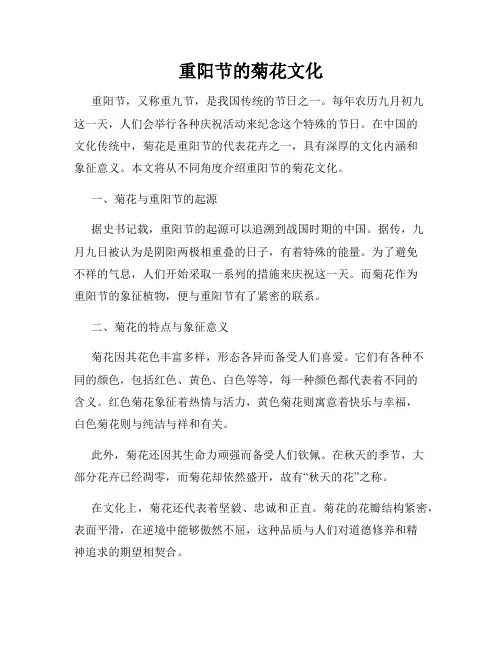 重阳节的菊花文化