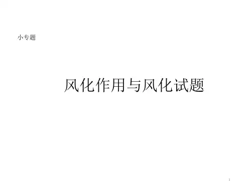 高中地理高三小专题风化作用与风化试题ppt共课件