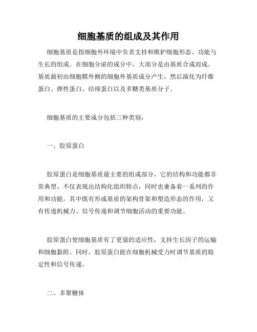 细胞基质的组成及其作用