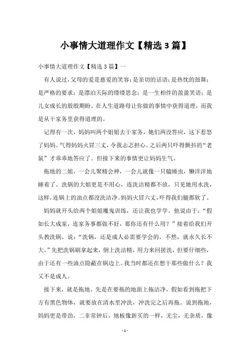 小事情大道理作文【3篇】