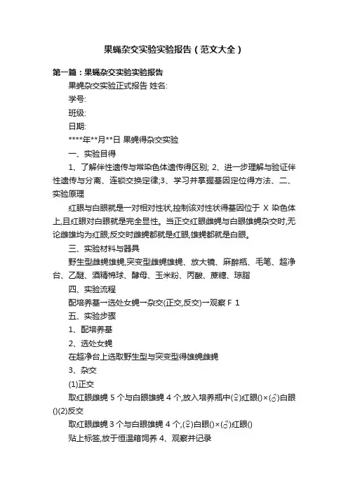 果蝇杂交实验实验报告（范文大全）