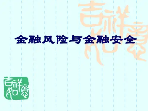 金融风险与金融安全