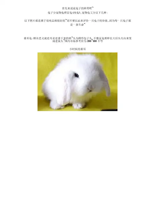 总结宠物兔种类和饲养方法