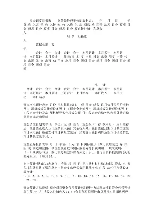 资金调度日报表
