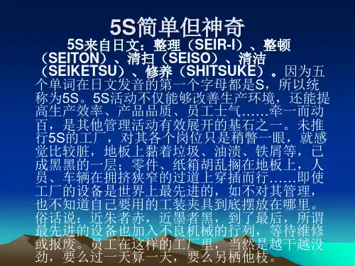 5S  管 理 理 论PPT资料16页