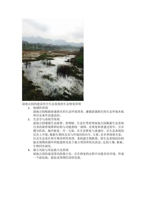 湿地公园的建设符合生态系统的生态修复原则