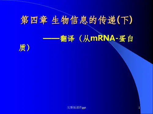 《生物信息的传递》PPT课件