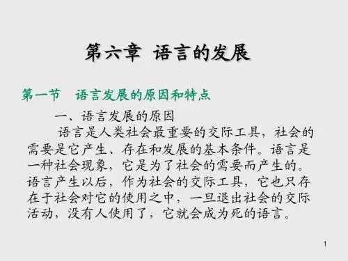 语言学概论第六章  语言的发展