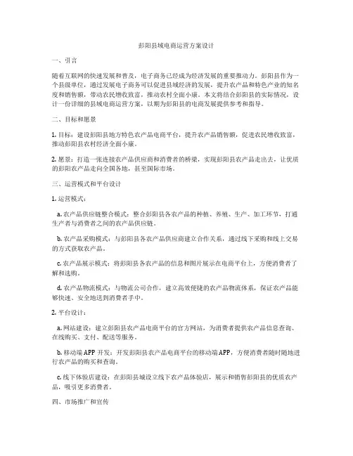 彭阳县域电商运营方案设计