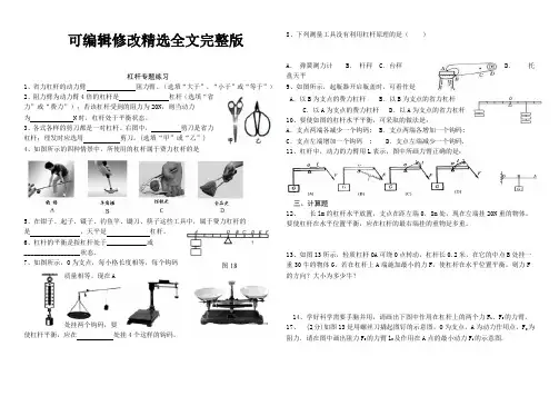 杠杆专题练习精选全文完整版