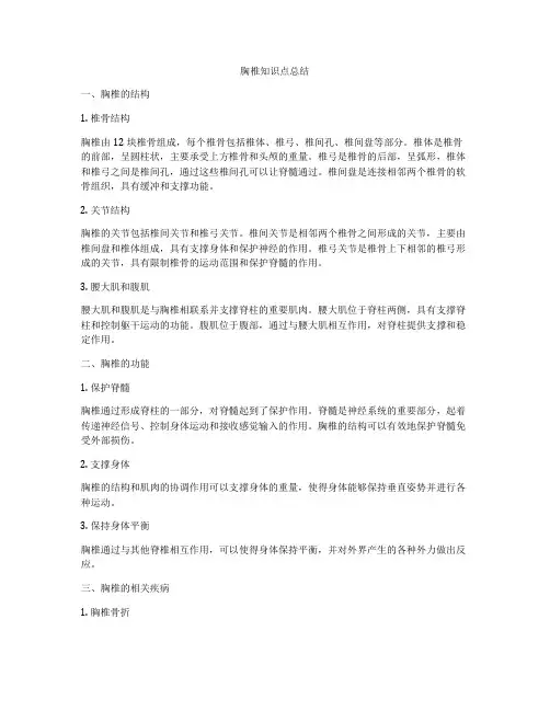 胸椎知识点总结