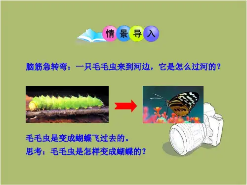 人教版八下7.1.2 昆虫的生殖和发育课件 
