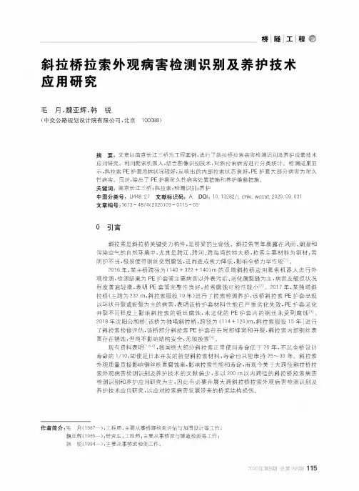 斜拉桥拉索外观病害检测识别及养护技术应用研究