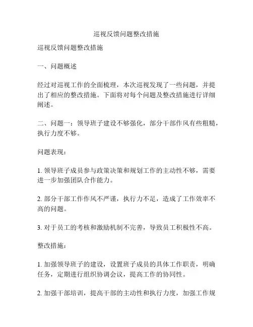 巡视反馈问题整改措施