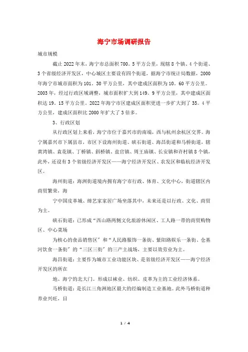 海宁市场调研报告