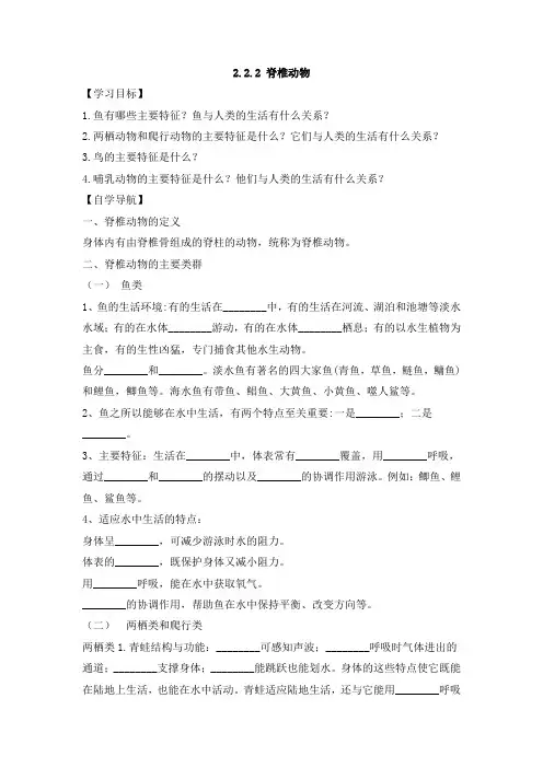 人教版(2024新板)七年级生物上册第二单元第二章第二节《脊椎动物》每课一练