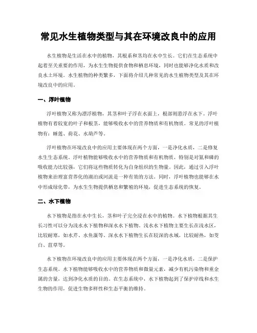 常见水生植物类型与其在环境改良中的应用