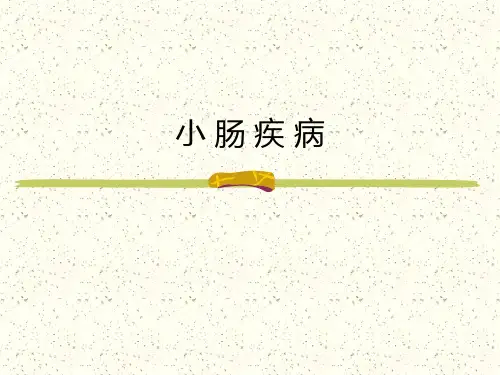 小肠疾病PPT课件