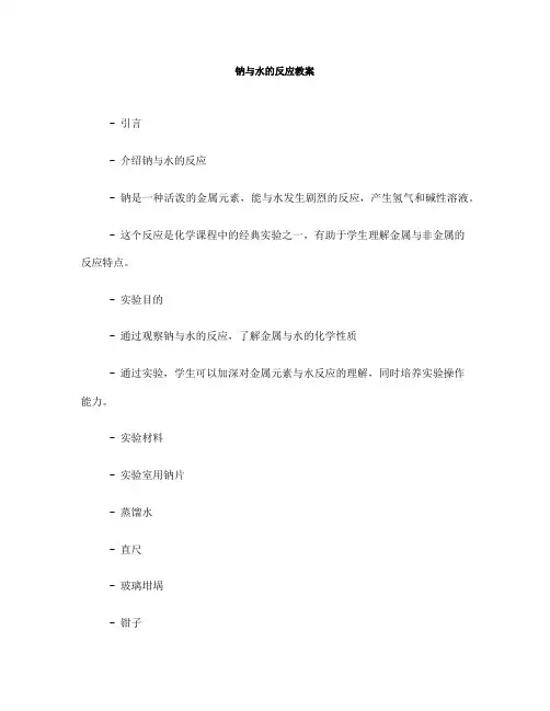 钠与水的反应教案(一)