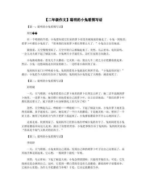 【二年级作文】聪明的小兔看图写话