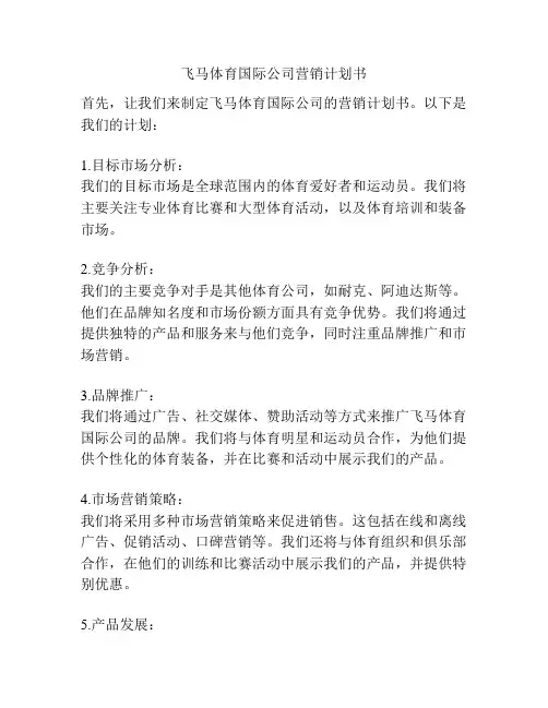 飞马体育国际公司营销计划书