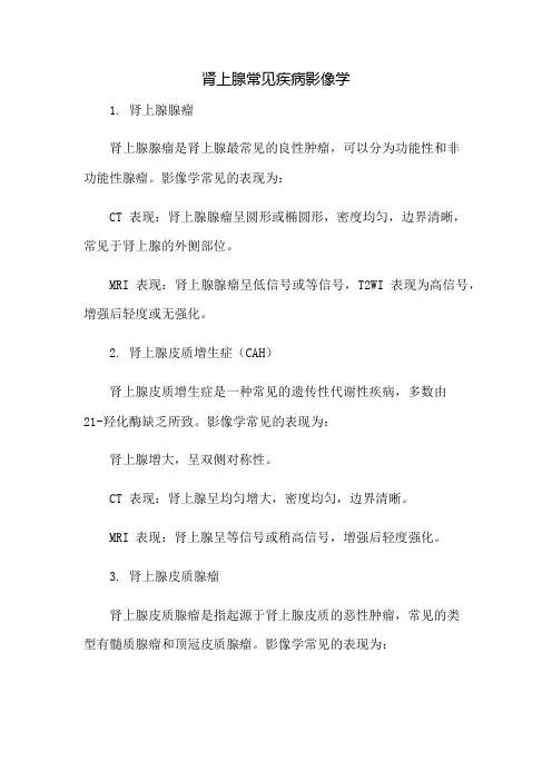 肾上腺常见疾病影像学