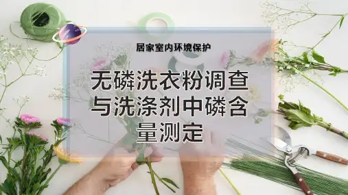 无磷洗衣粉调查与洗涤剂中磷含量测定