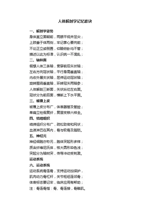 人体解剖学记忆歌诀