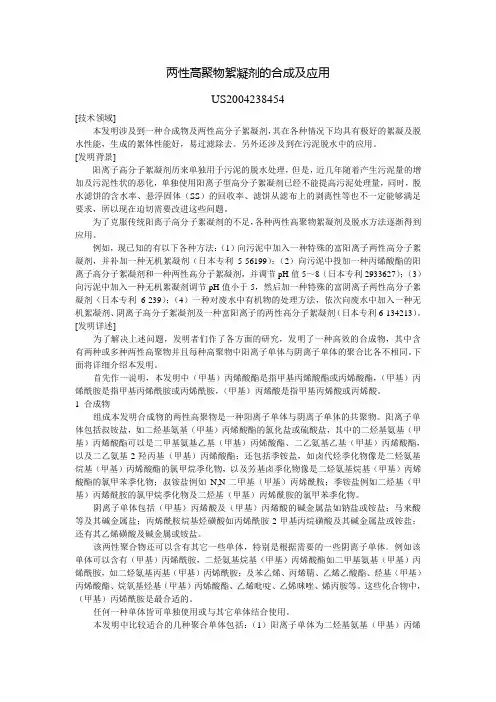 两性高聚物絮凝剂的合成及应用