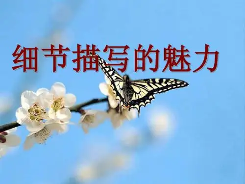 细节描写的魅力课件
