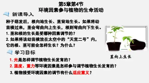 5.4环境因素参与调节植物的生命活动高二上学期生物人教版选择性必修1